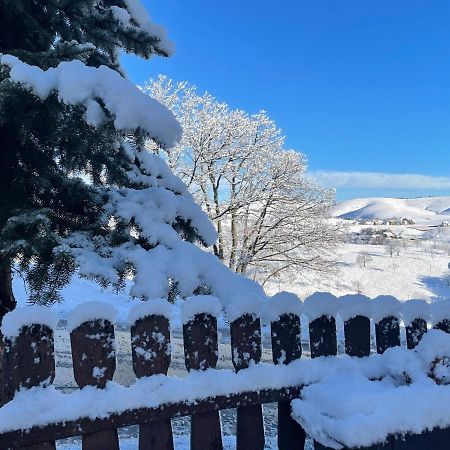 Guest House Vila Djokic Zlatibor Buitenkant foto