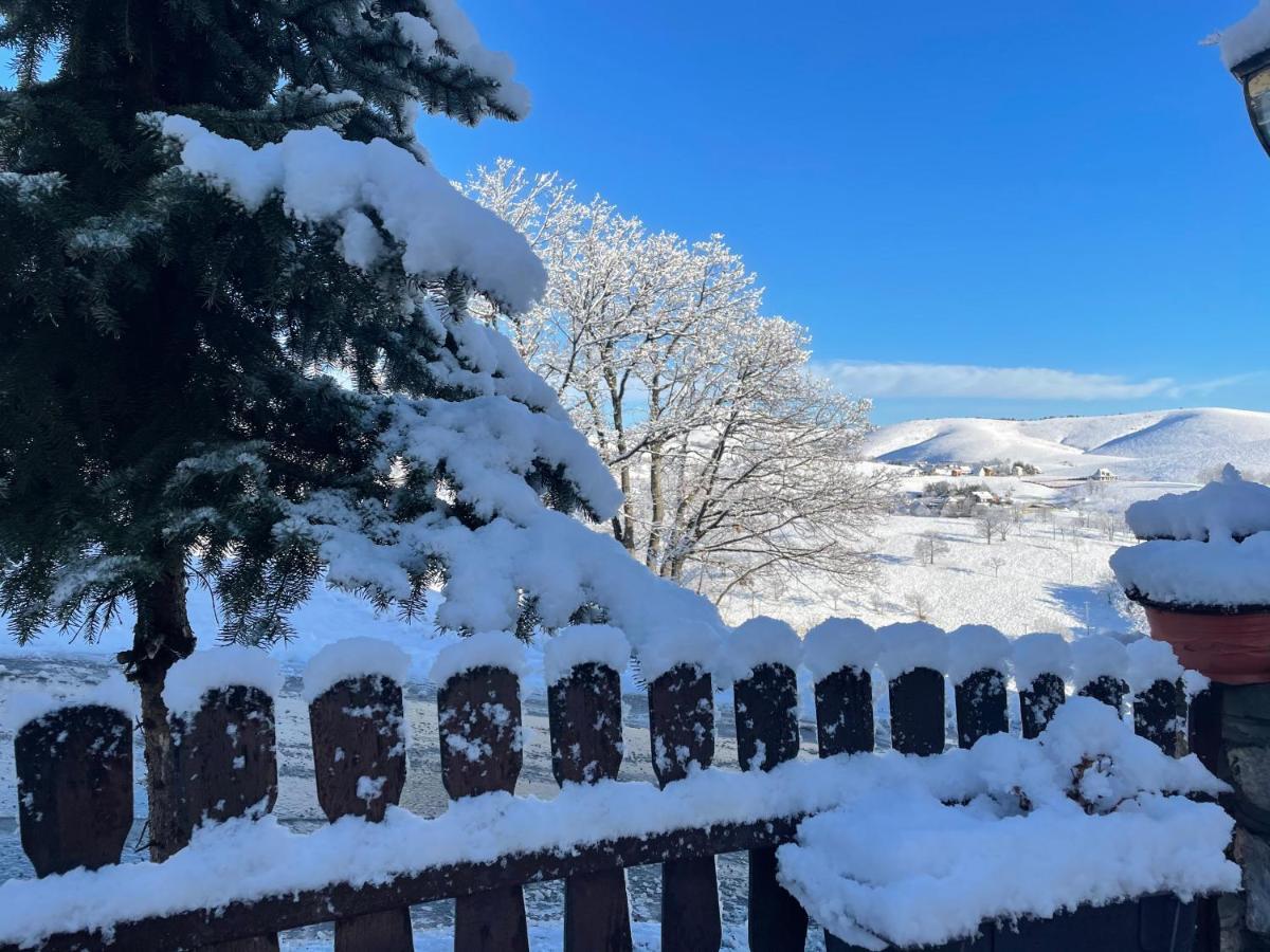 Guest House Vila Djokic Zlatibor Buitenkant foto