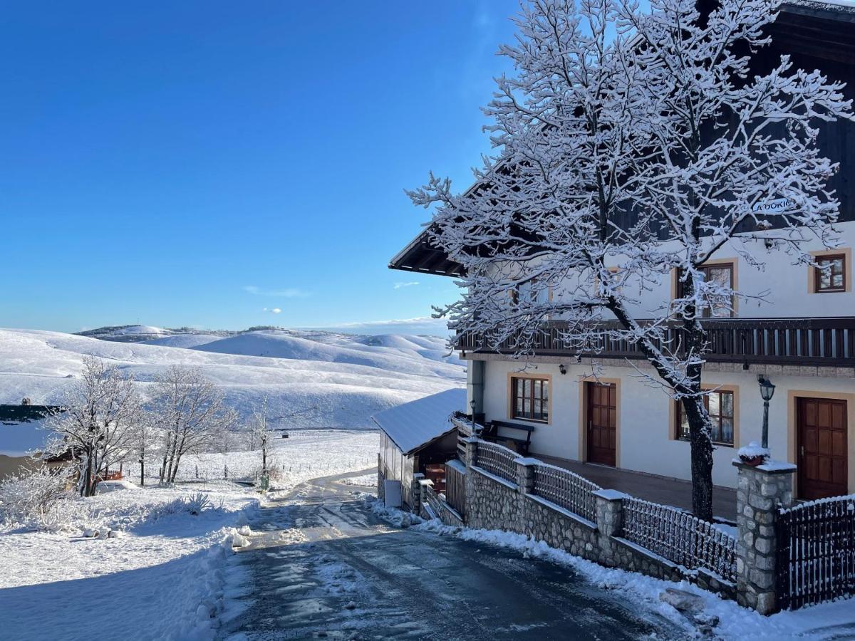 Guest House Vila Djokic Zlatibor Buitenkant foto