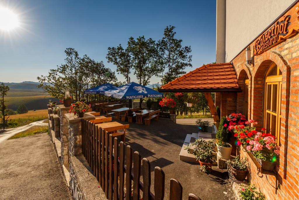 Guest House Vila Djokic Zlatibor Buitenkant foto
