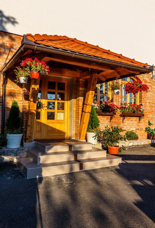 Guest House Vila Djokic Zlatibor Buitenkant foto